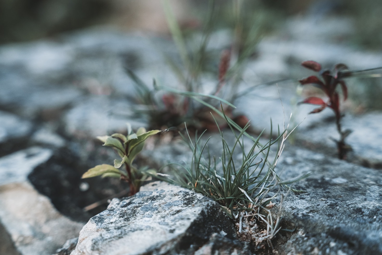 The Art of Turning Challenges into Triumphs