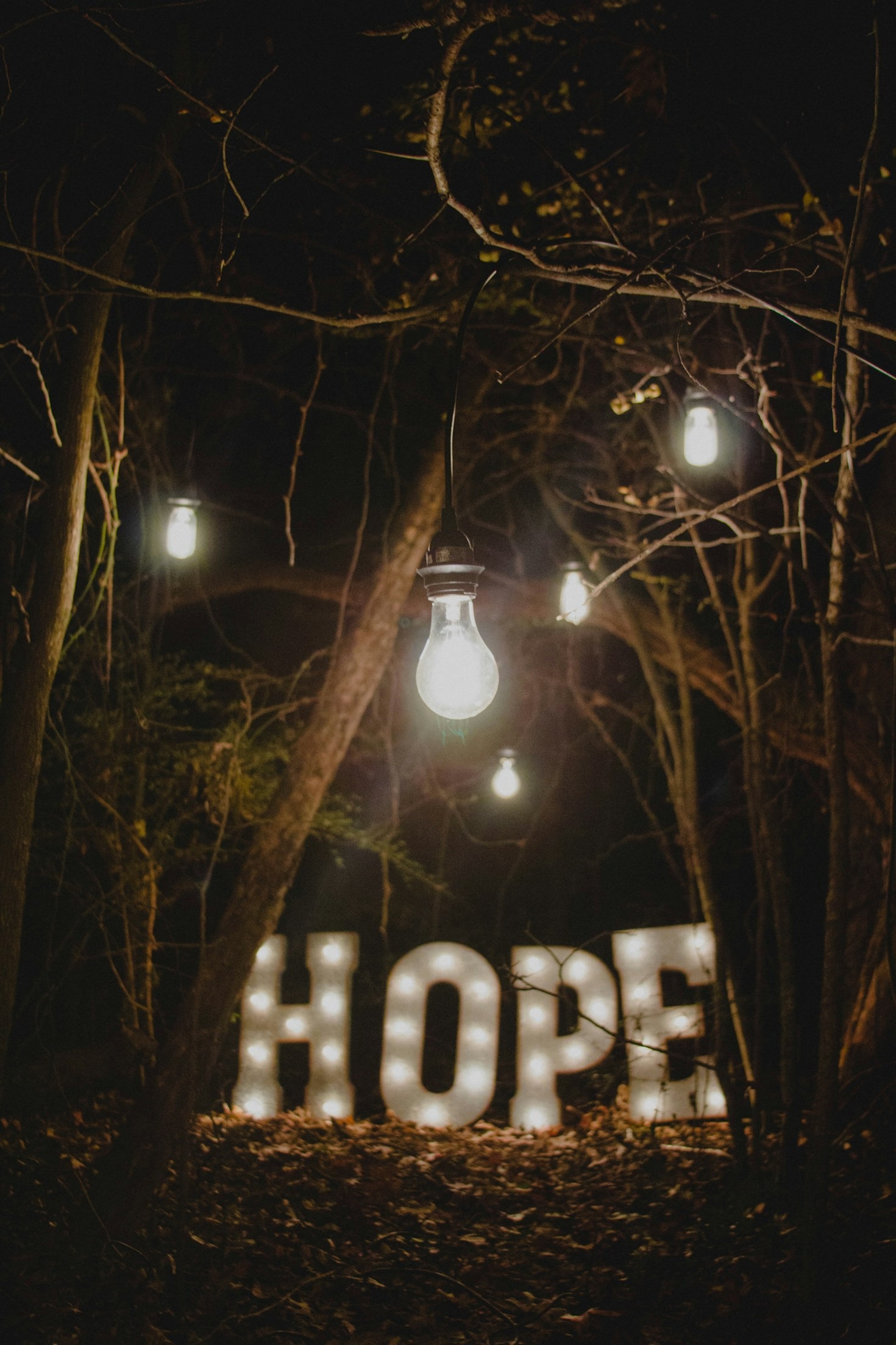 From Struggles to Success: A Journey of Hope