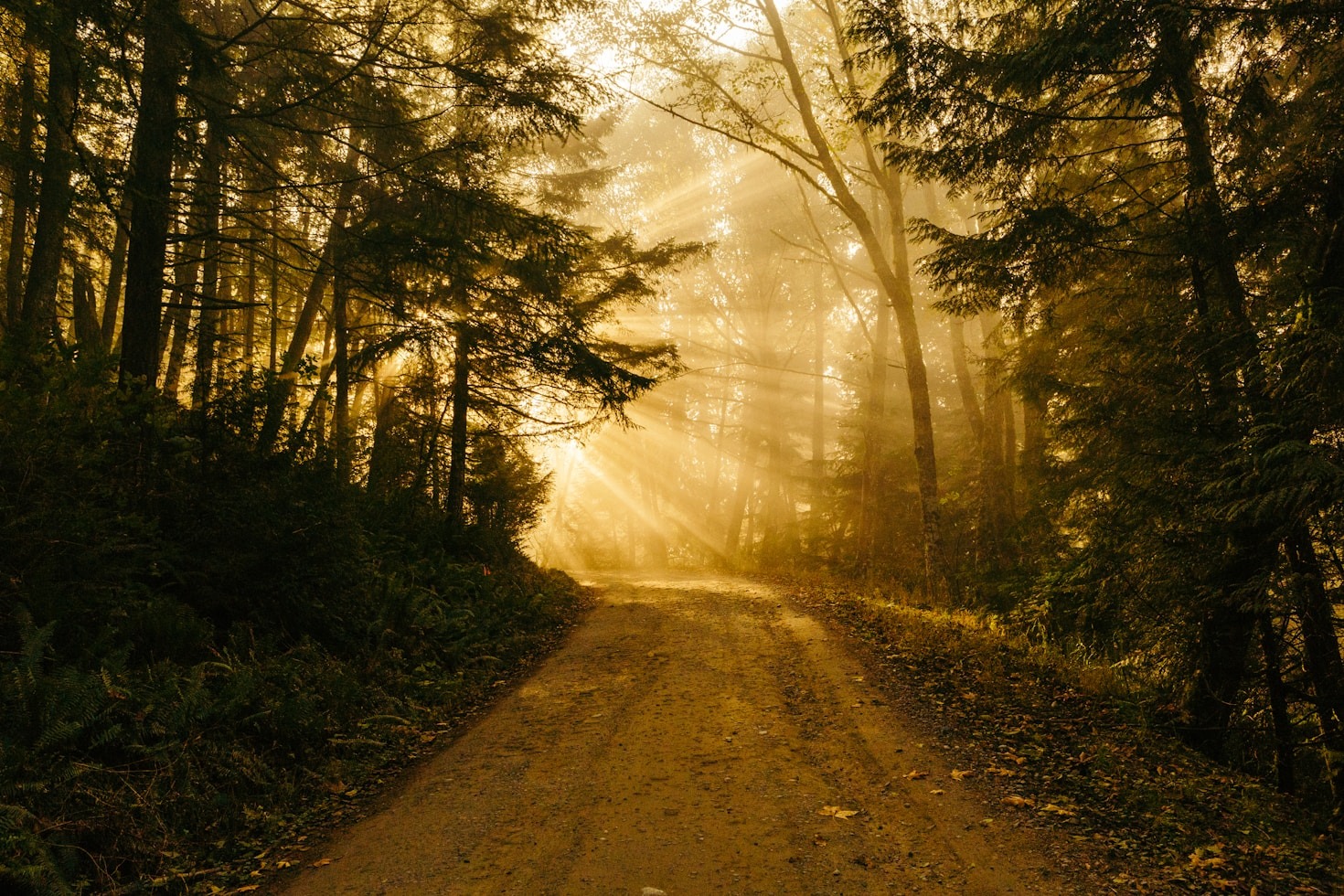 The Power of Perseverance in Achieving Goals